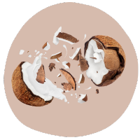 Coconut pieces with coconut milk on a beige background
